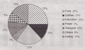 Describing the Pie-Chart of The Percentage of a Family Expenditure 
